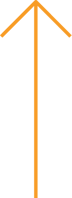 Vector Vector